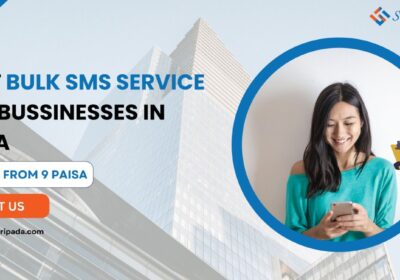 BEST-BULK-SMS-SERVICE-FOR-BUSINESSES-IN-INDIA-2