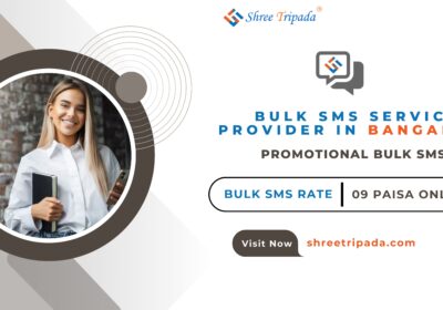 Bulk-SMS-Service-Provider-in-Bangalore-Promotional-Bulk-SMS