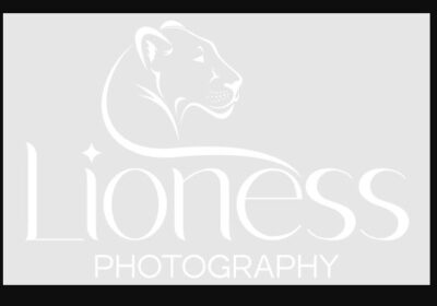 Lioness-Photography