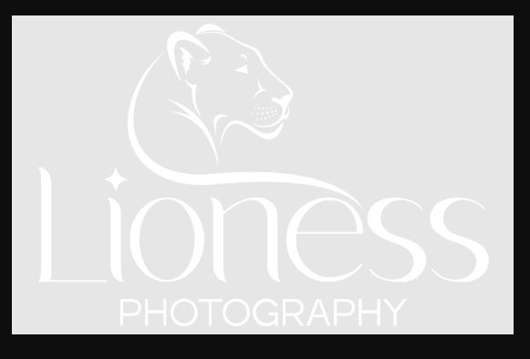Bridal Boudoir Photography | lioness photography