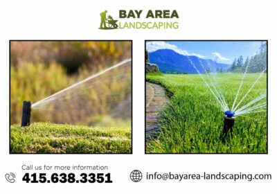 Bay-Area-landscaping-Water-Features-Services