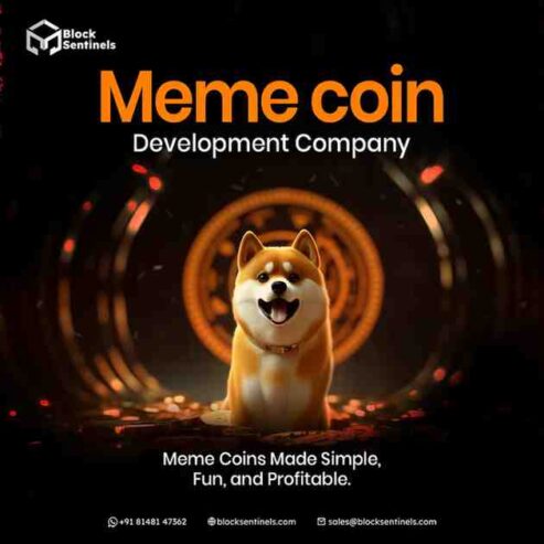 What Drives the Value of a Meme Coin: Speculation or Community Trust?