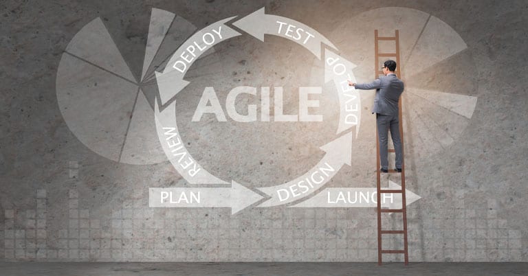 Agile Methodology for DotNet Development Project