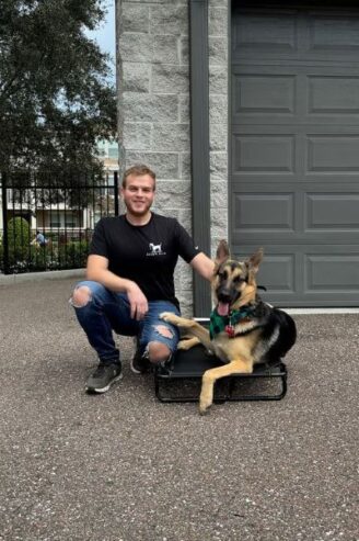 Enhance Your Skills with Dog Grooming Training
