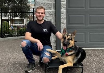 Enhance-Your-Skills-with-Dog-Grooming-Training