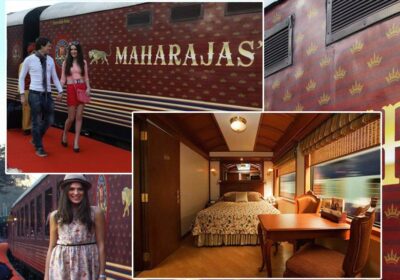 Maharajas-express3-3