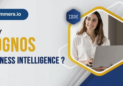 Why-Cognos-Bi-2