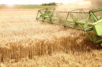 Grain-Processing-Machine
