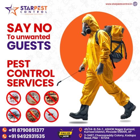 Best Flies and Spider Pest Control Services in Kurnool